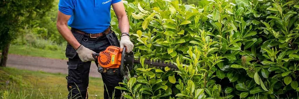 Garden Design & Installation