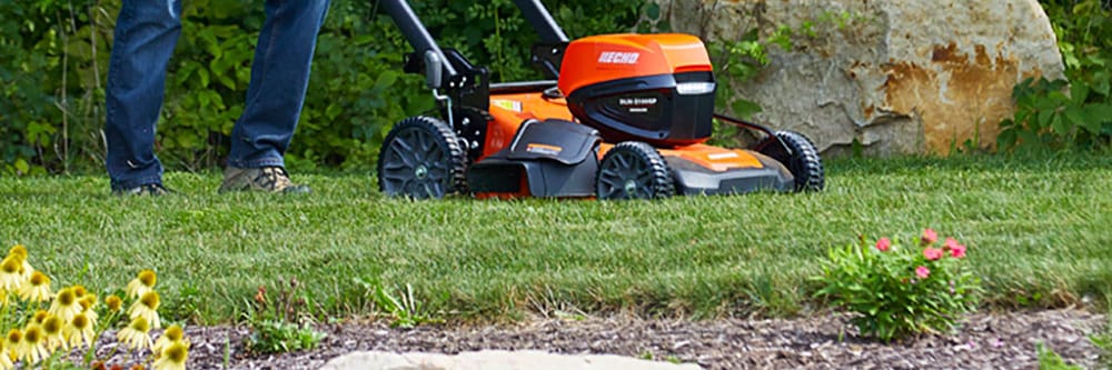 Lawn Care & Maintenance